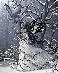 明媒正娶免费阅读